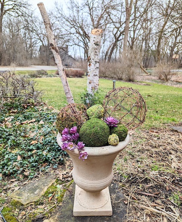 Early Spring Modern Topiary Planter